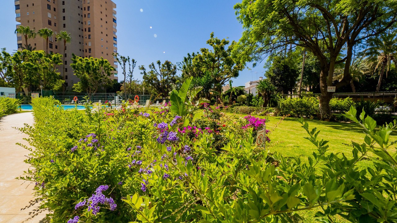 Photo of Outdoor in Torremolinos