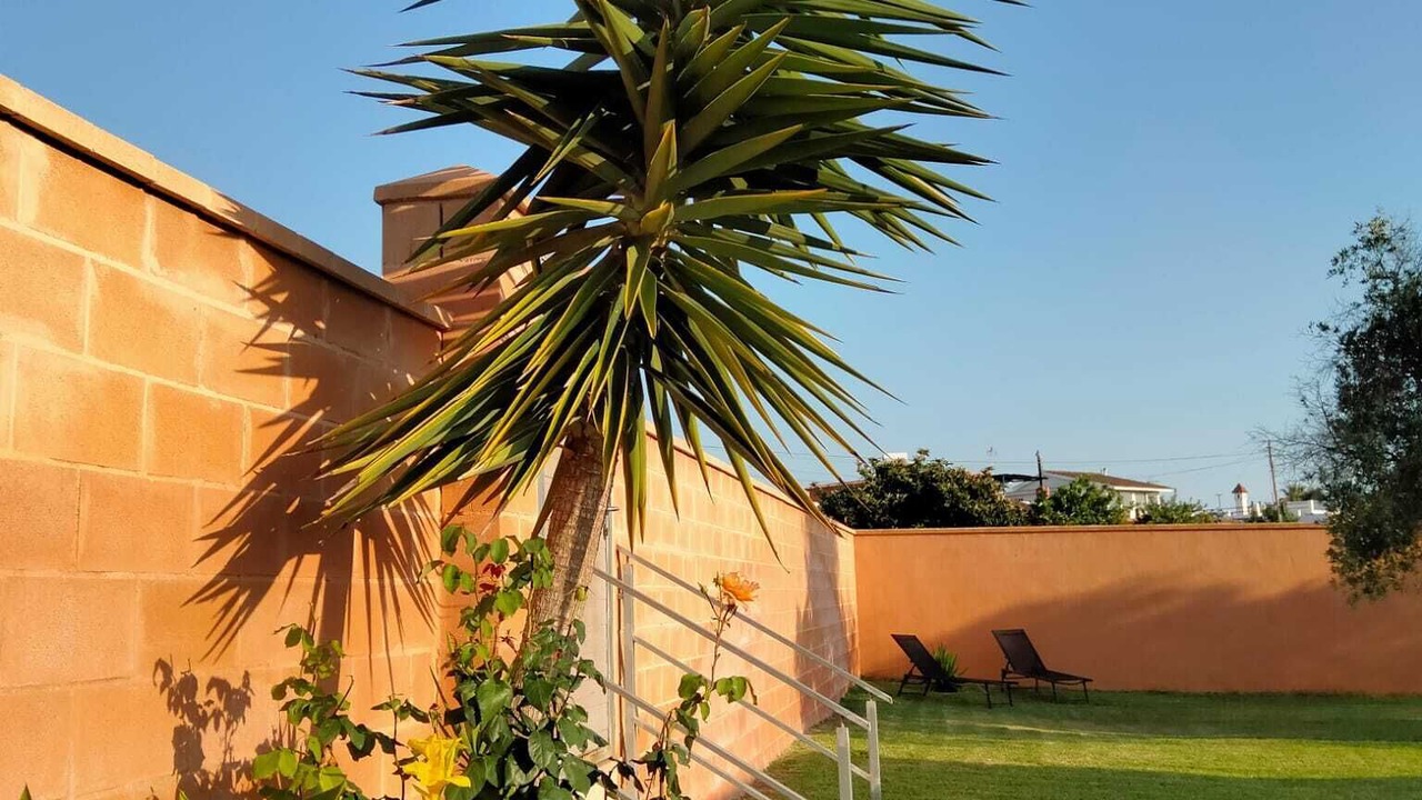 Photo of Outdoor in Conil de la Frontera
