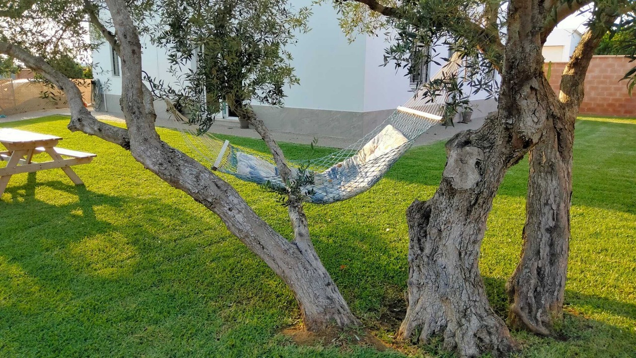 Photo of Outdoor in Conil de la Frontera