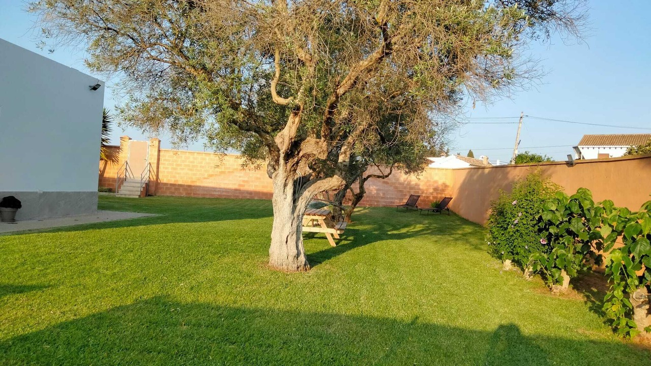 Photo of Outdoor in Conil de la Frontera