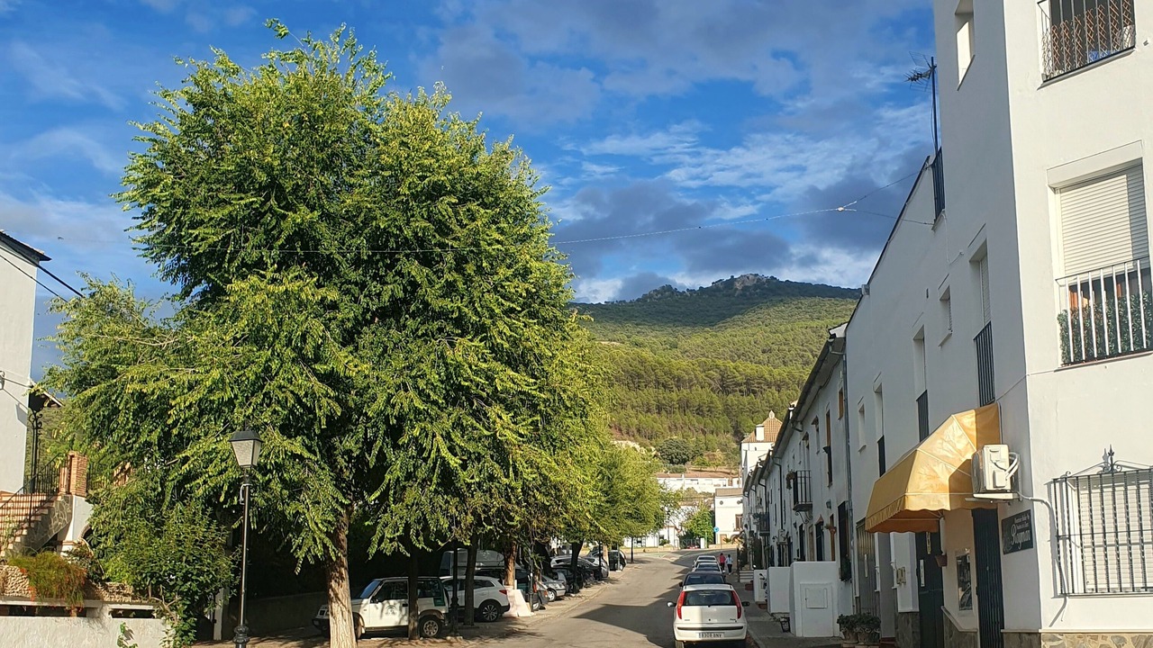 Photo of Others in El Bosque