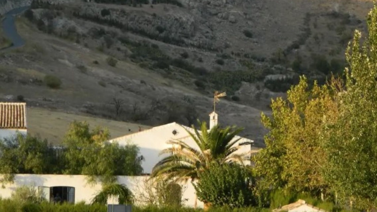 Photo of Others in Teba