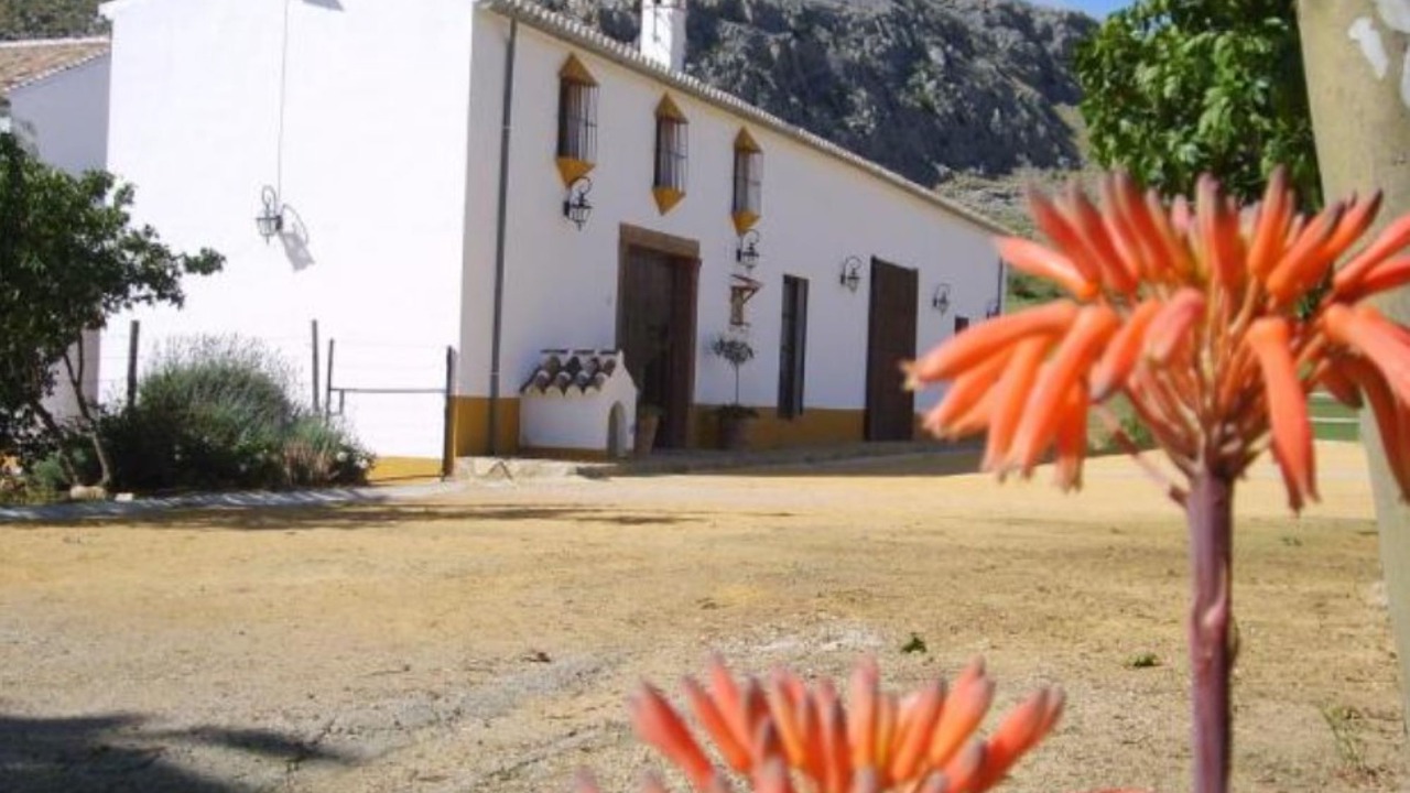 Photo of Outdoor in Teba