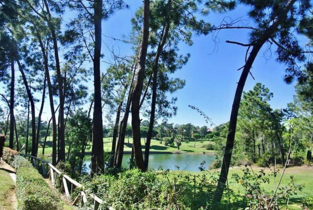 Photo of Outdoor in Islantilla