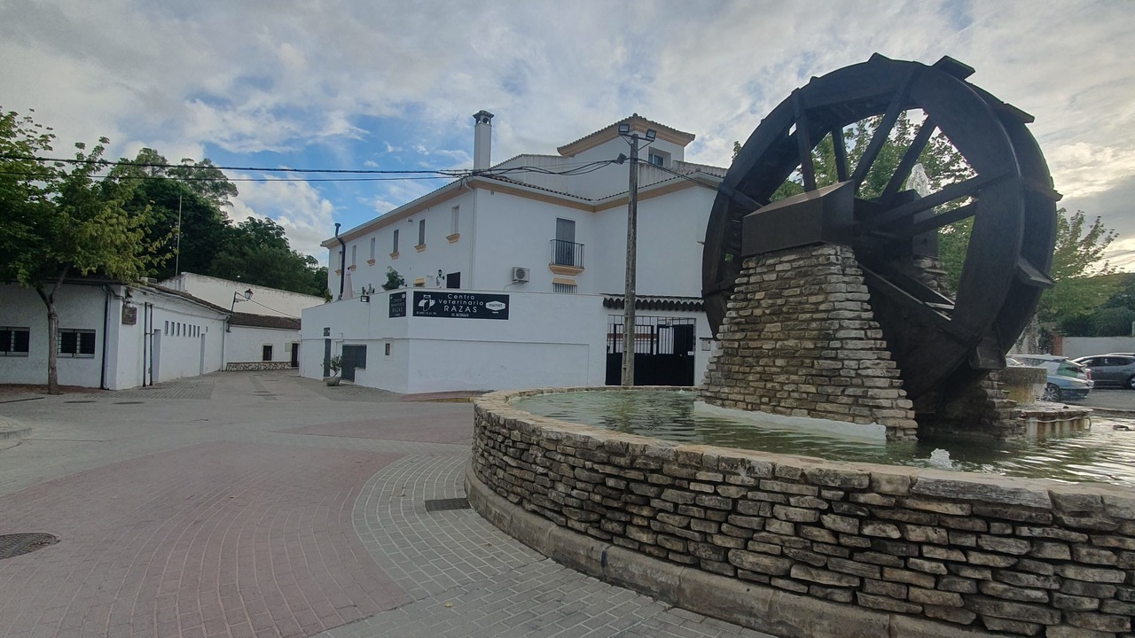 Photo of Outdoor in El Bosque