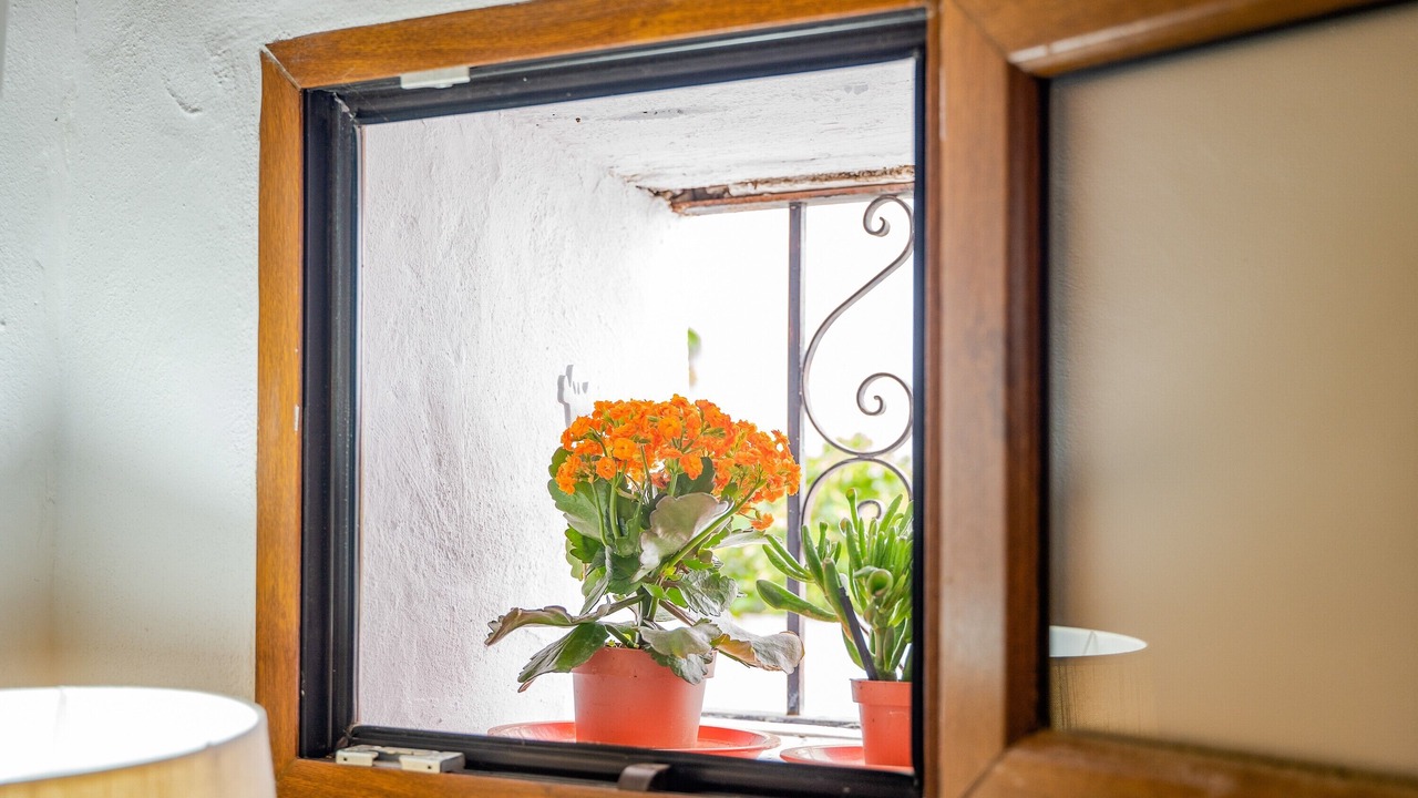Photo of Others in Casares