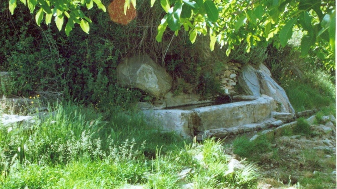 Photo of Outdoor in Laroya