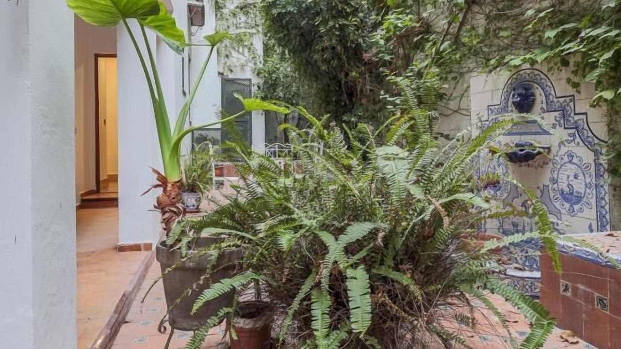 Photo of Outdoor in Santa Cruz