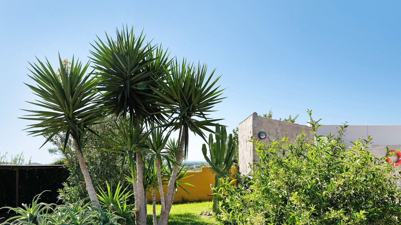 Photo of Outdoor in Conil de la Frontera