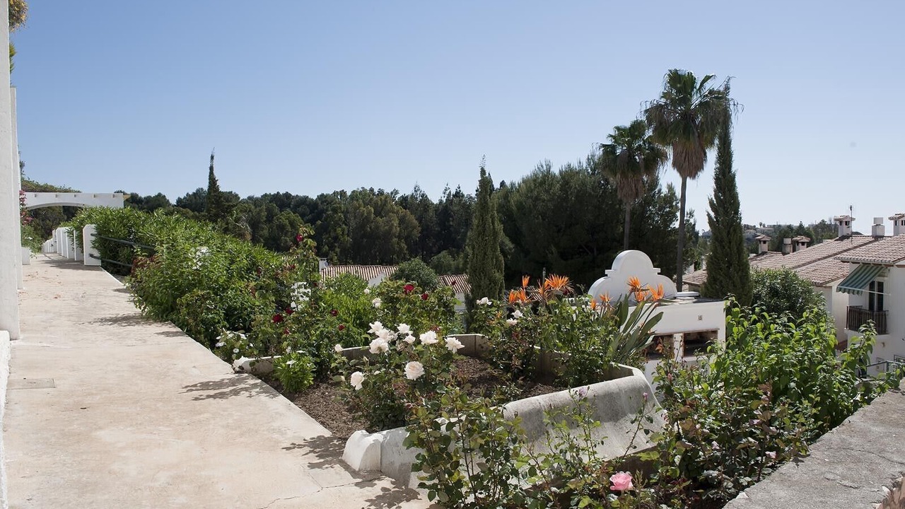 Photo of Outdoor in Benalmadena Costa