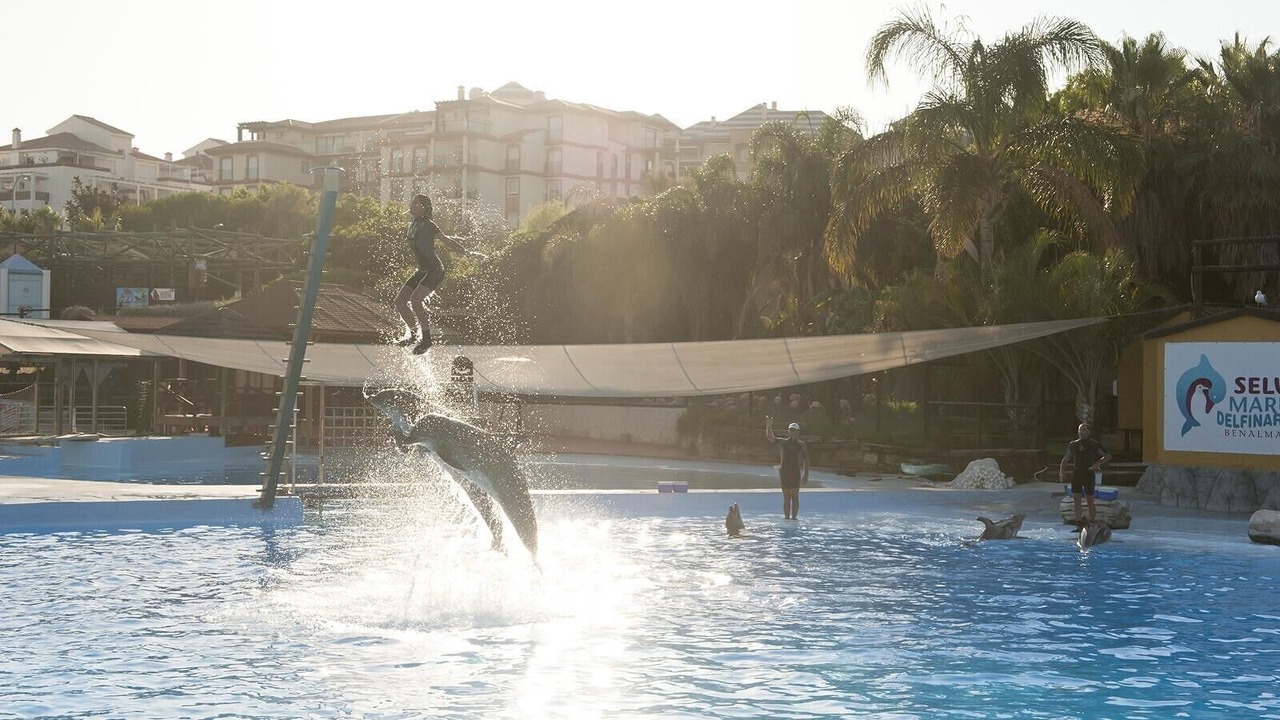 Photo of Outdoor in Benalmadena Costa