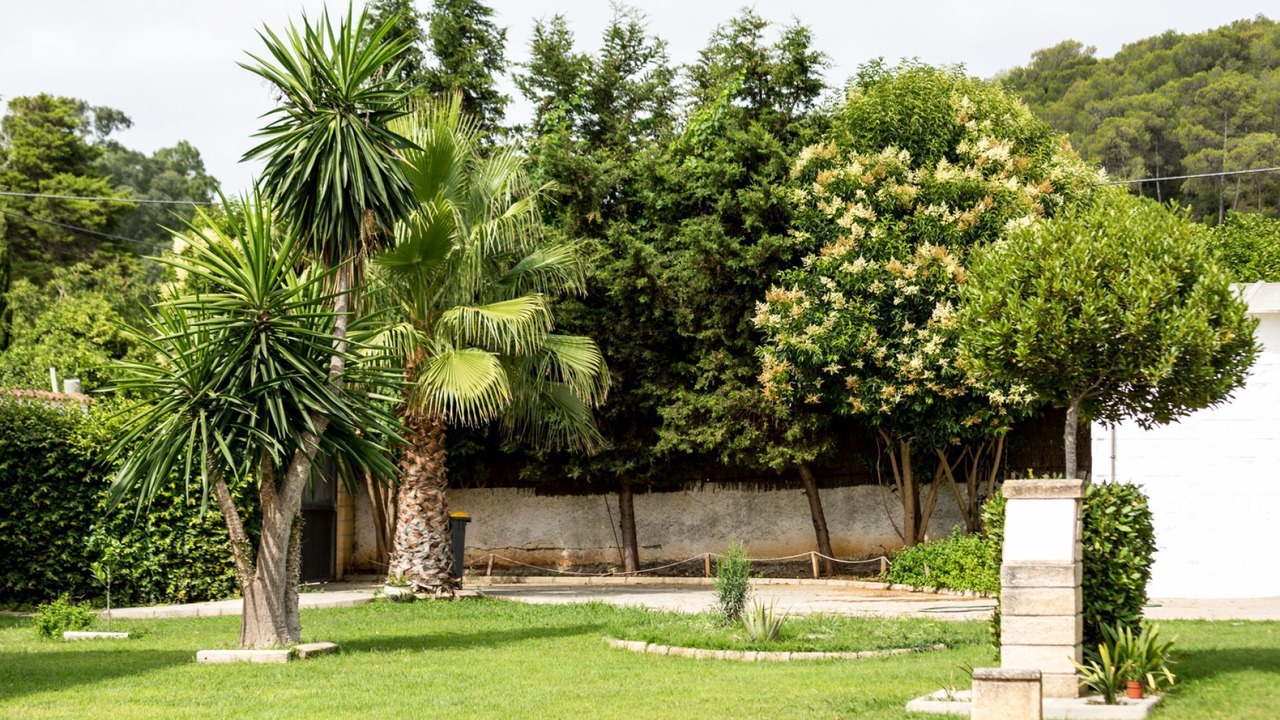 Photo of Outdoor in La Ribera de la Oliva
