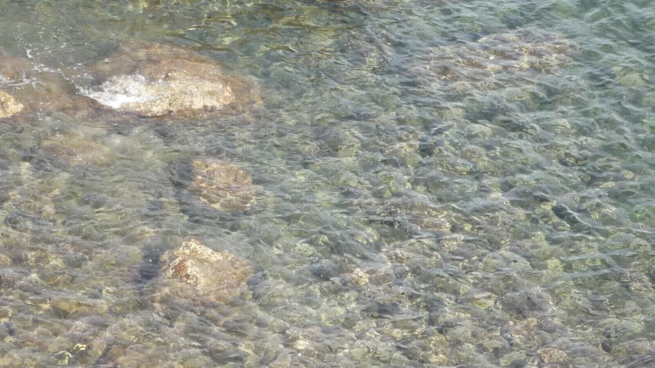 Photo of Others in Mazarron