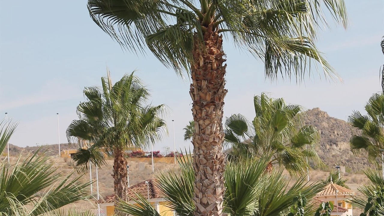 Photo of Others in Mazarron