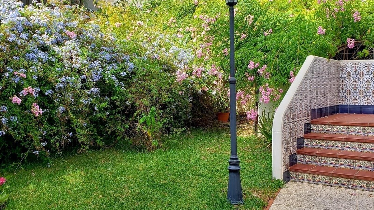 Photo of Outdoor in Benalmadena Costa