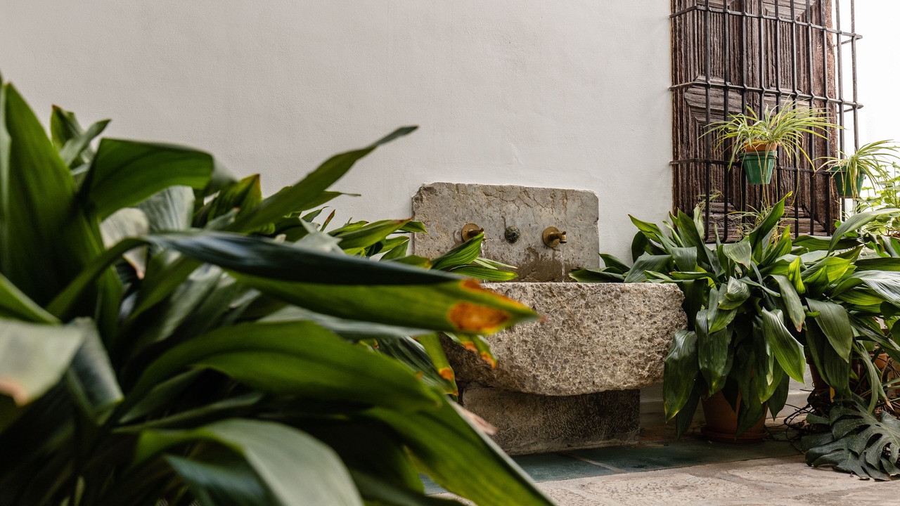 Photo of Outdoor in Durcal