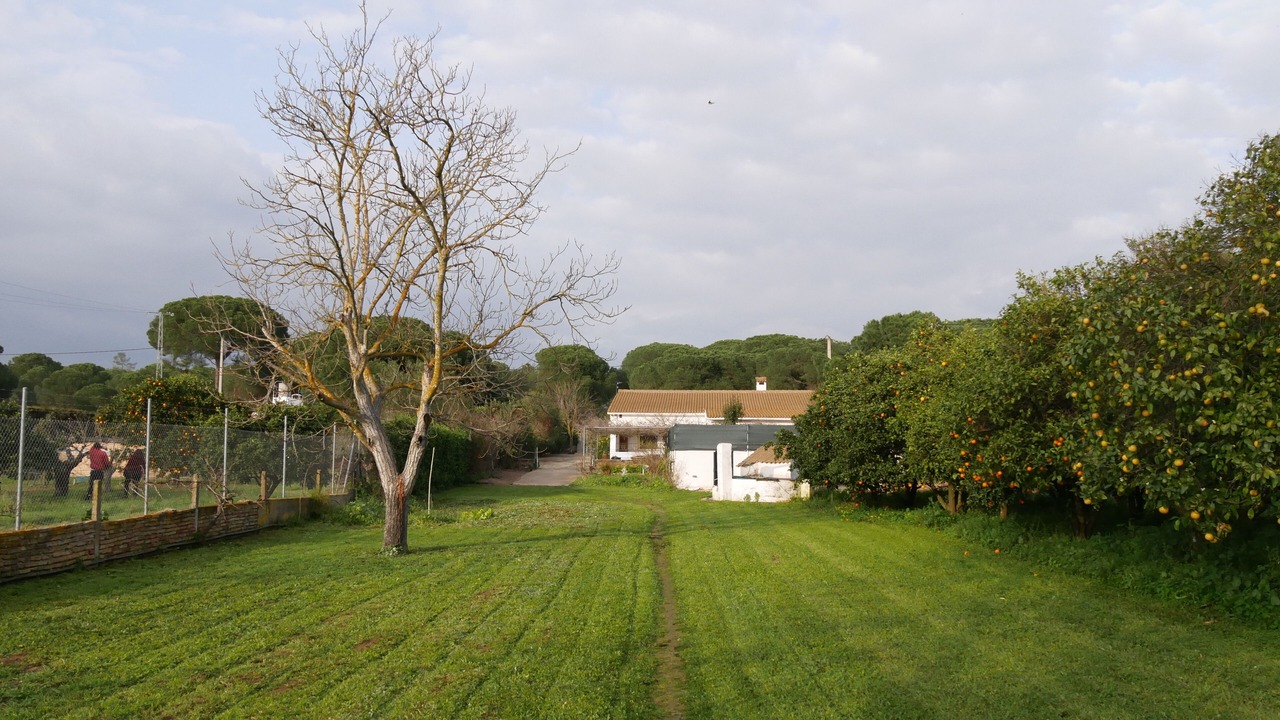 Photo of Outdoor in Aljaraque