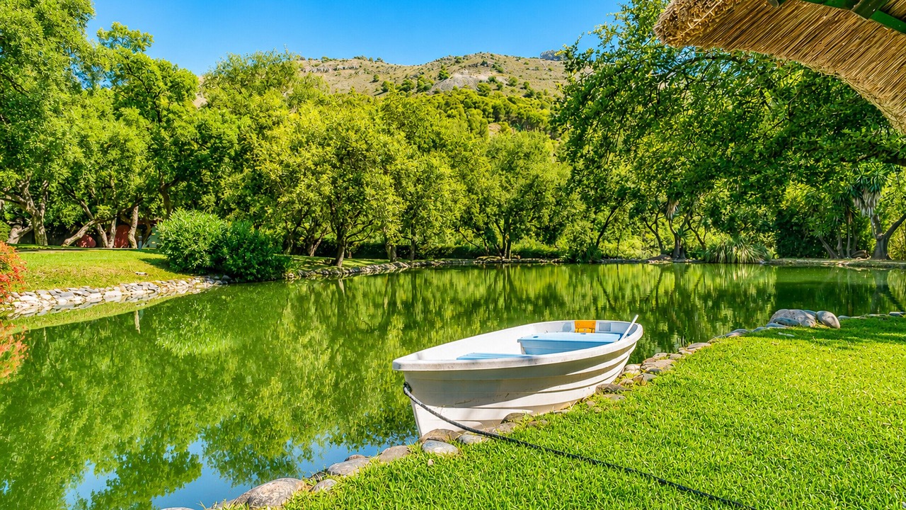 Photo of Outdoor in Coin