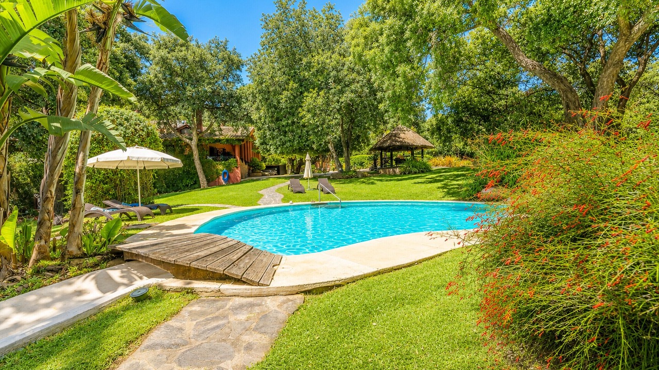 Photo of Outdoor in Coin