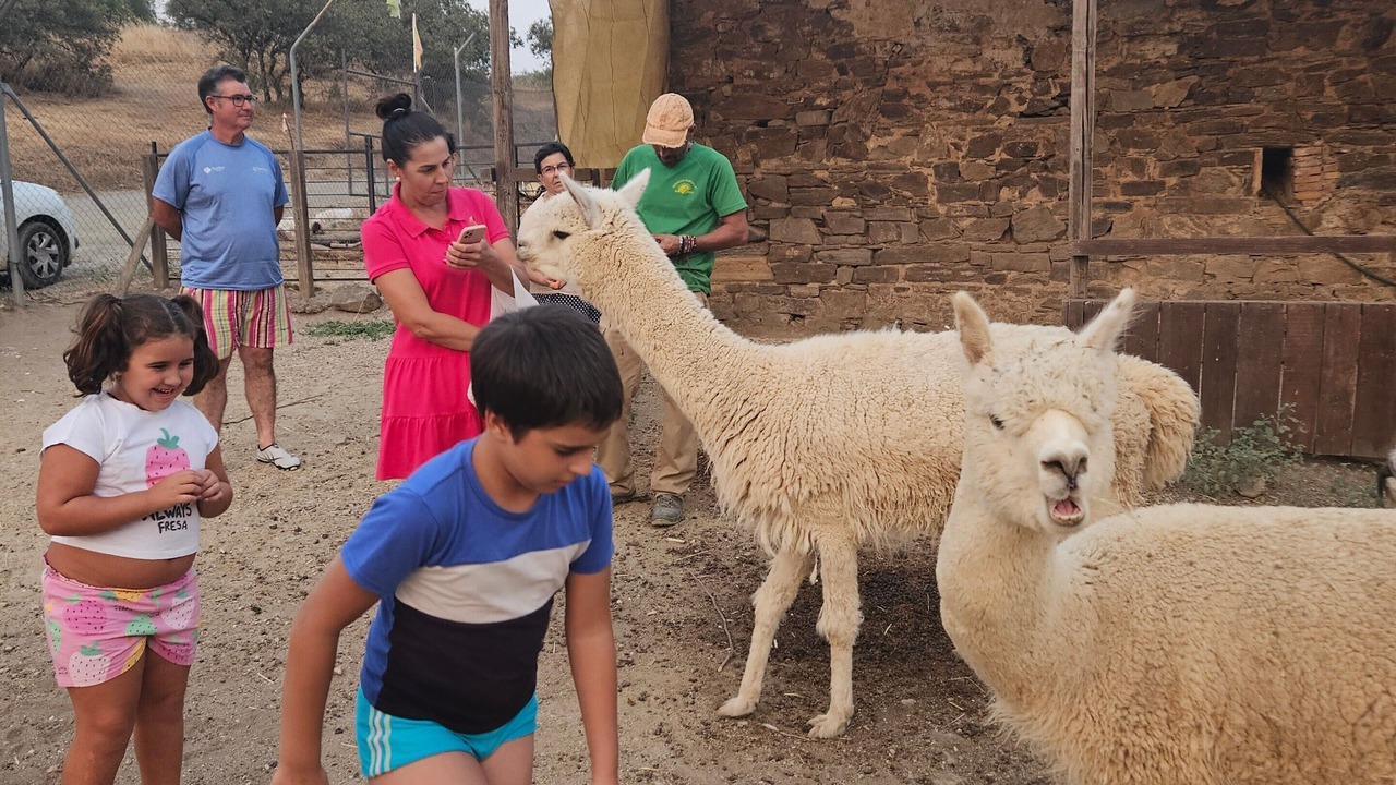 Photo of Others in Montoro