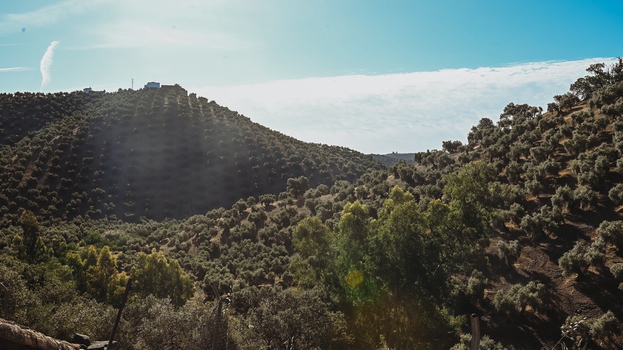 Photo of Others in Montoro