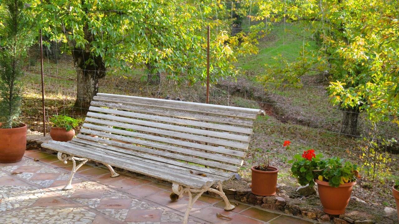 Photo of Outdoor in Aracena