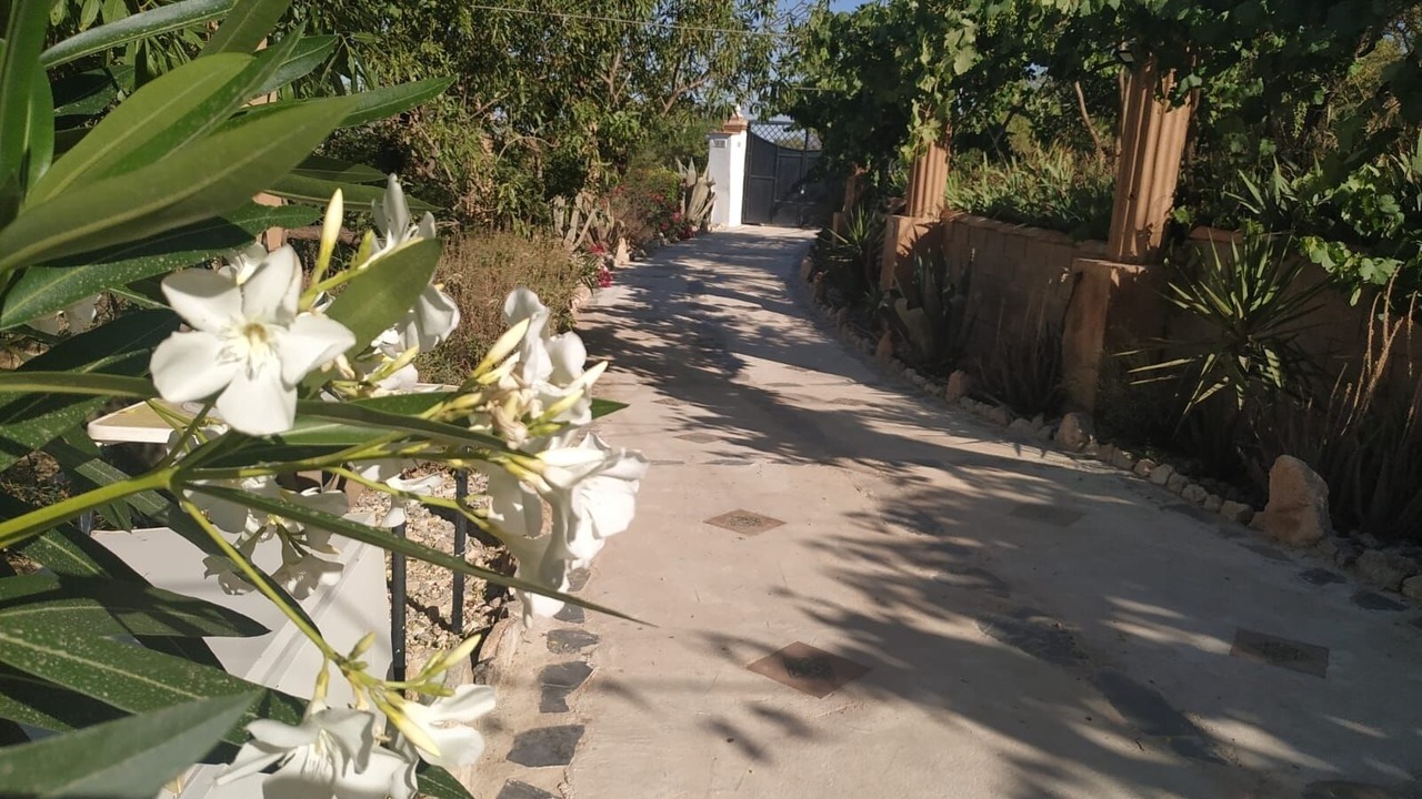 Photo of Outdoor in Durcal