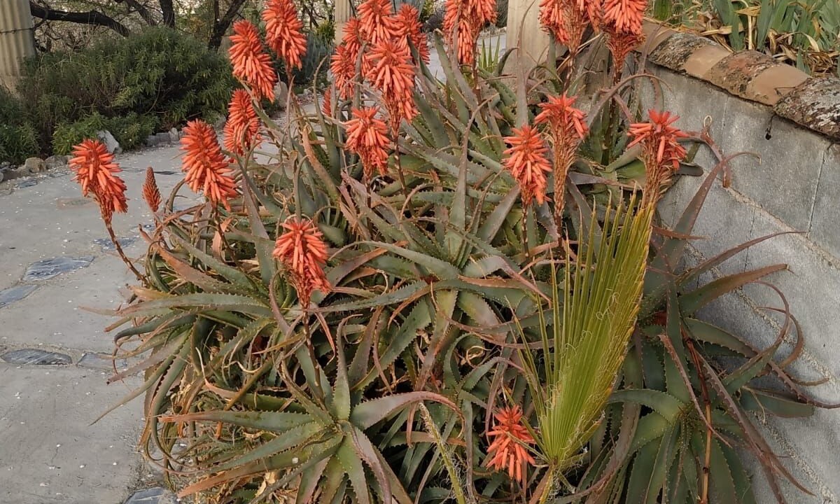 Photo of Outdoor in Durcal
