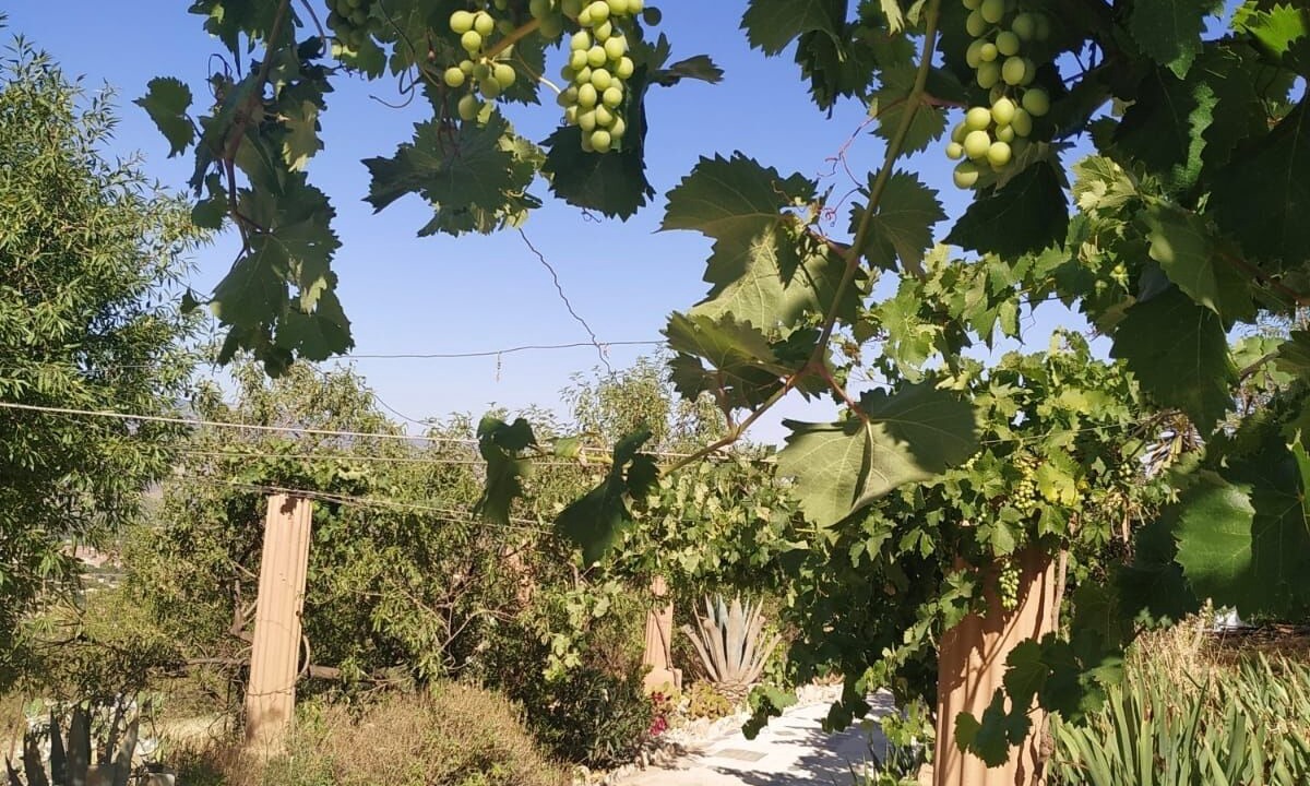 Photo of Outdoor in Durcal