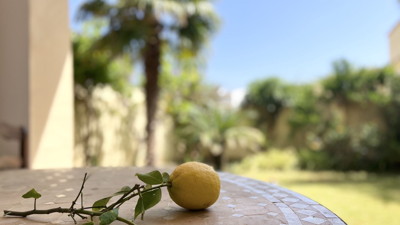 Photo of Outdoor in Urbanizacion Puerto de Estepona