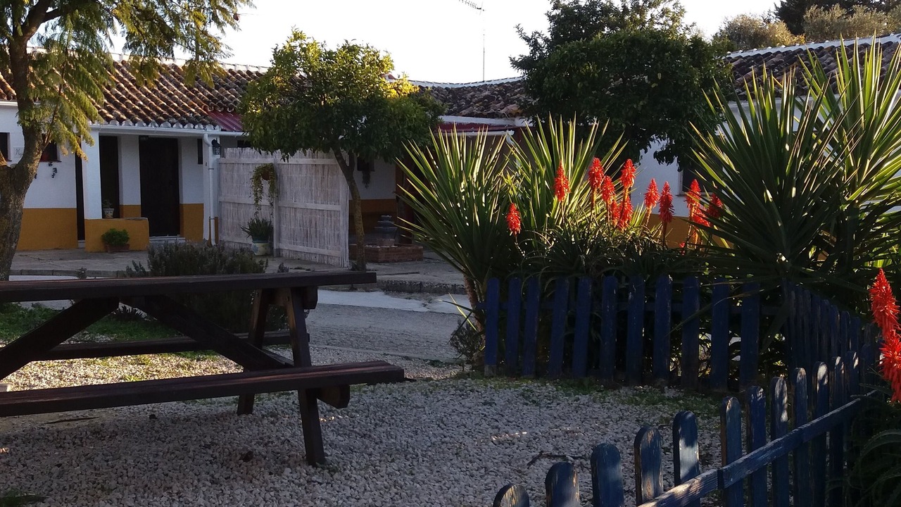 Photo of Outdoor in Prado del Rey