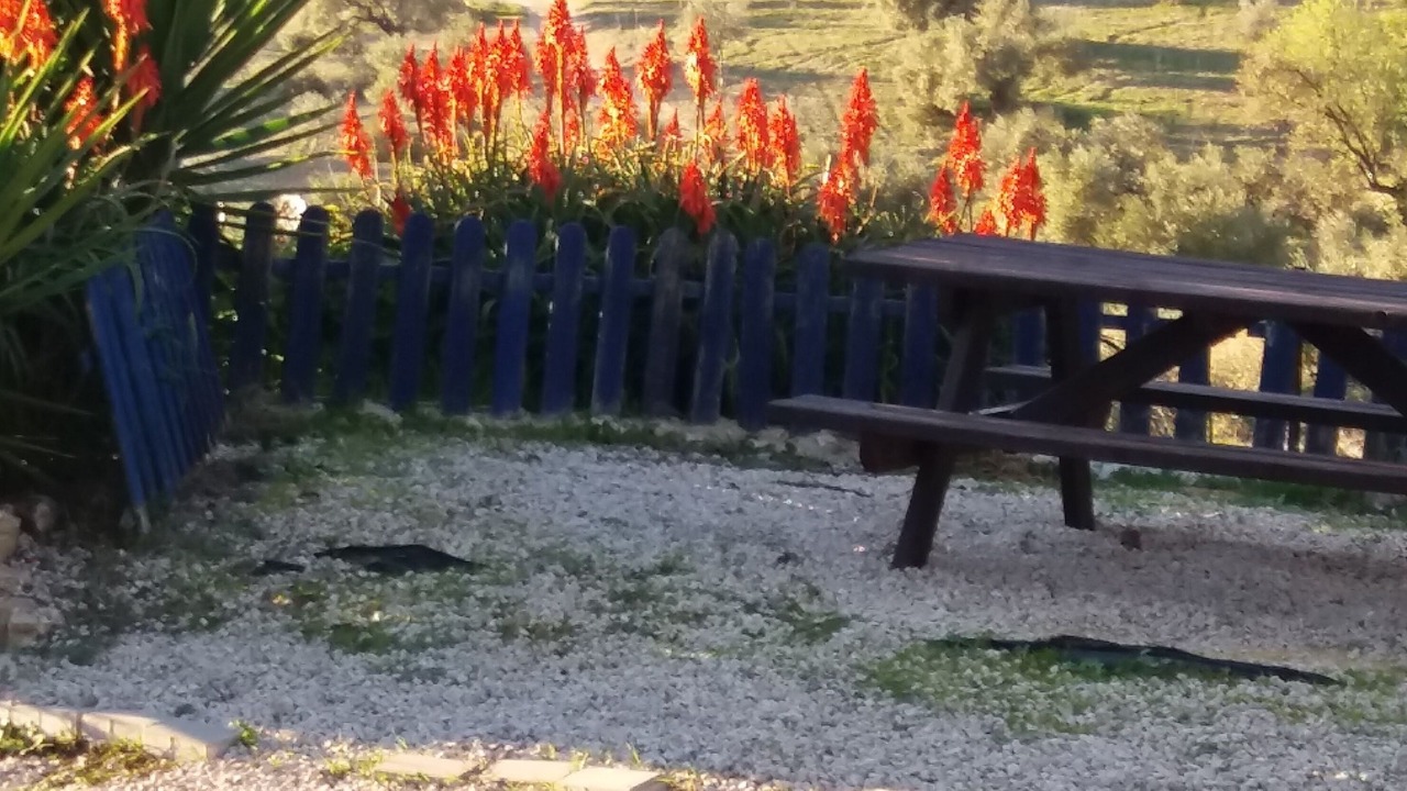 Photo of Outdoor in Prado del Rey