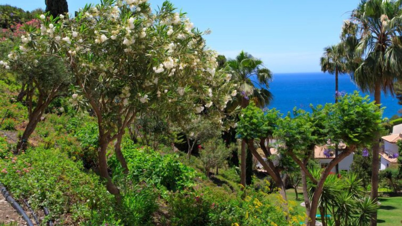 Photo of Outdoor in Urbanizacion Ladera del Mar