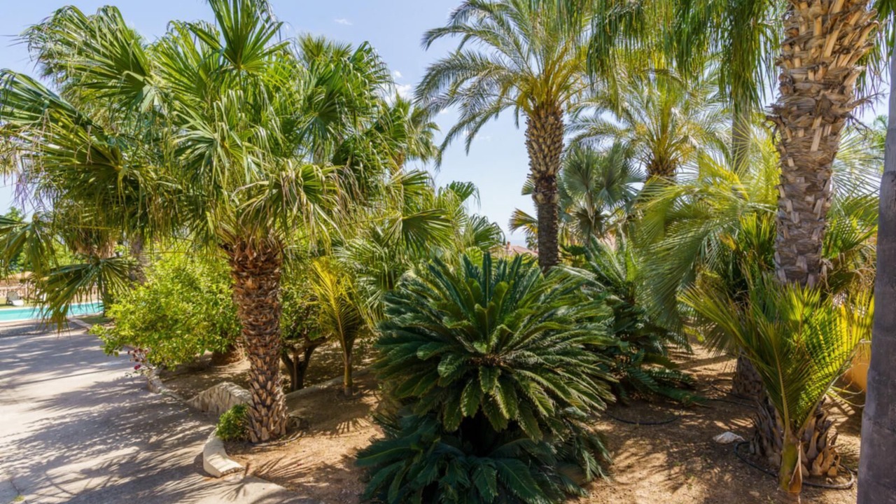 Photo of Outdoor in Pinos de Alhaurin