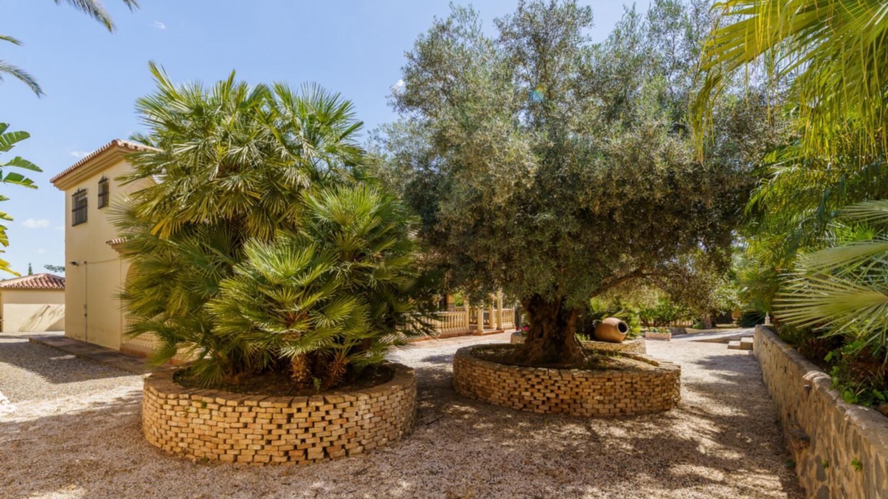 Photo of Outdoor in Pinos de Alhaurin