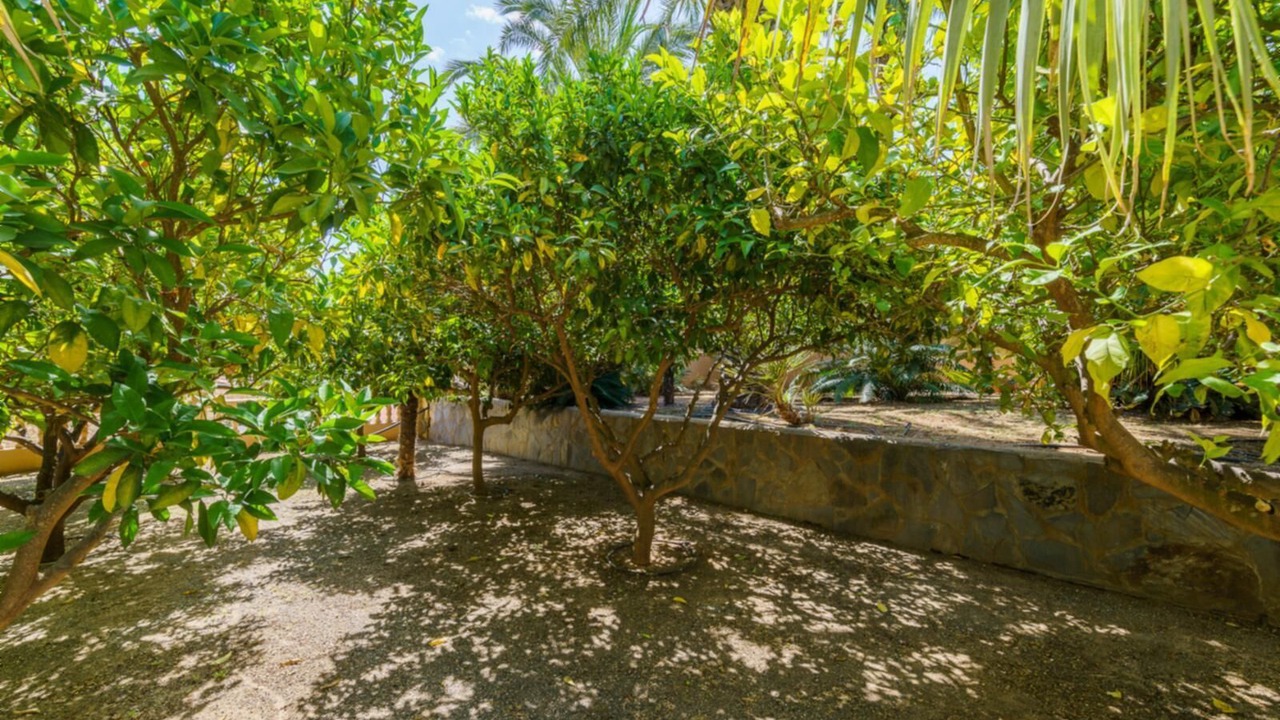 Photo of Outdoor in Pinos de Alhaurin