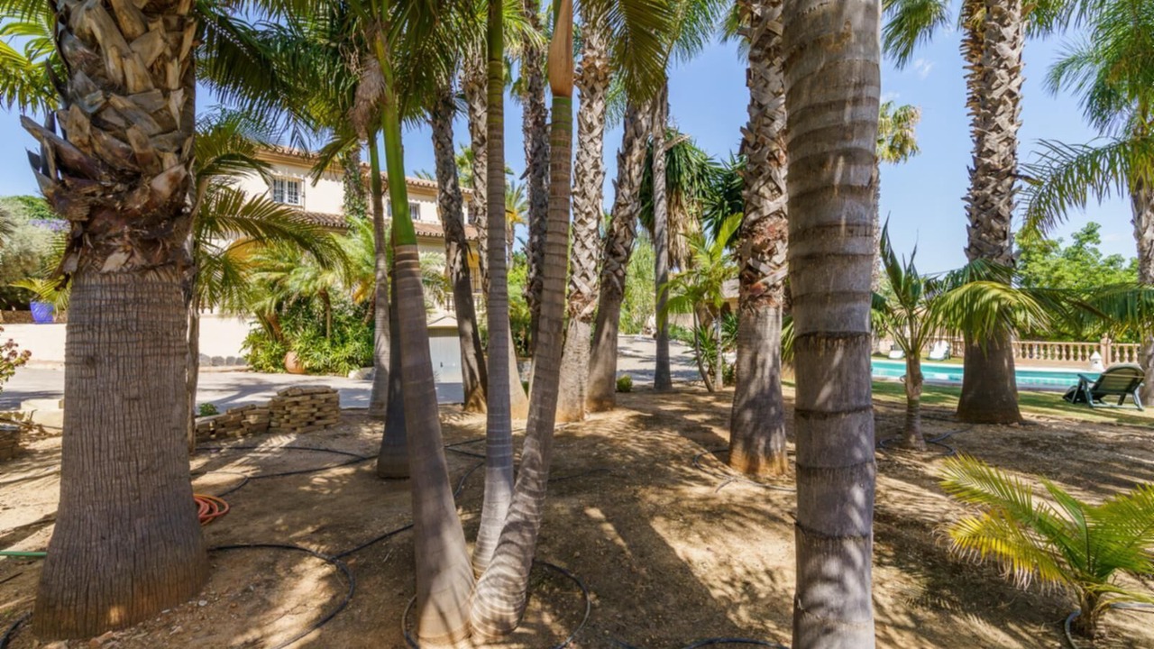 Photo of Outdoor in Pinos de Alhaurin