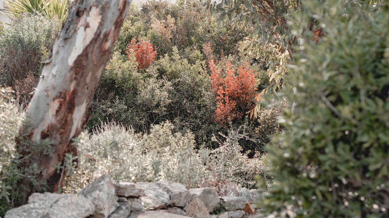 Photo of Outdoor in Medina-Sidonia
