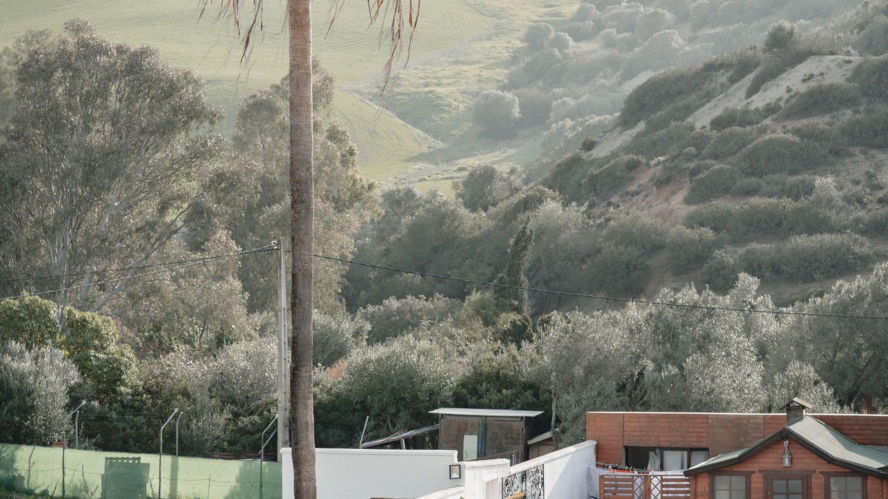 Photo of Outdoor in Medina-Sidonia