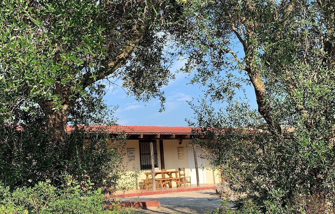 Photo of Outdoor in Medina-Sidonia