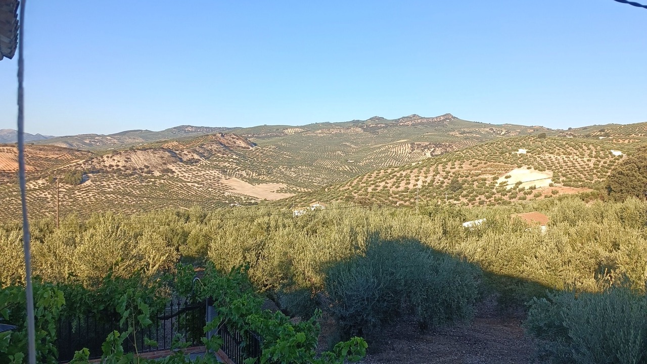Photo of Outdoor in Almedinilla