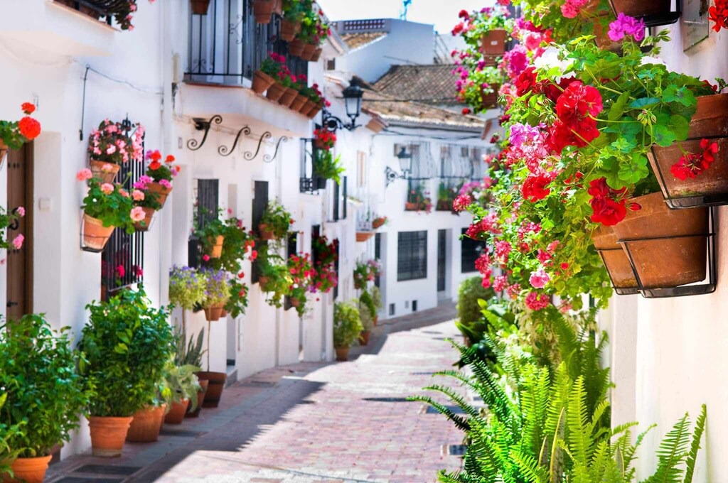 Photo of Buildings in Benalmadena Costa
