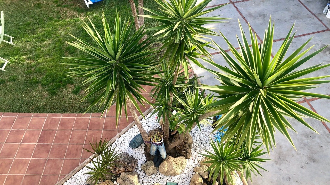 Photo of Outdoor in Los Gallos-Cerromolino