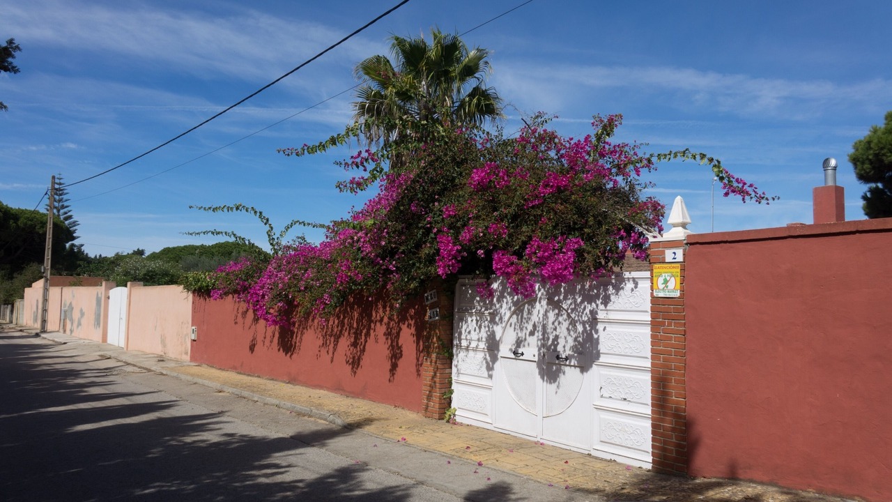 Photo of Outdoor in Chiclana de la Frontera