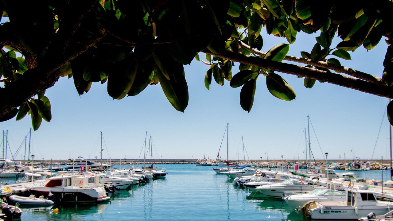 Photo of Others in Estepona