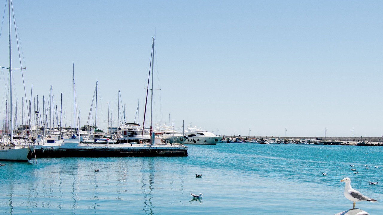 Photo of Others in Estepona
