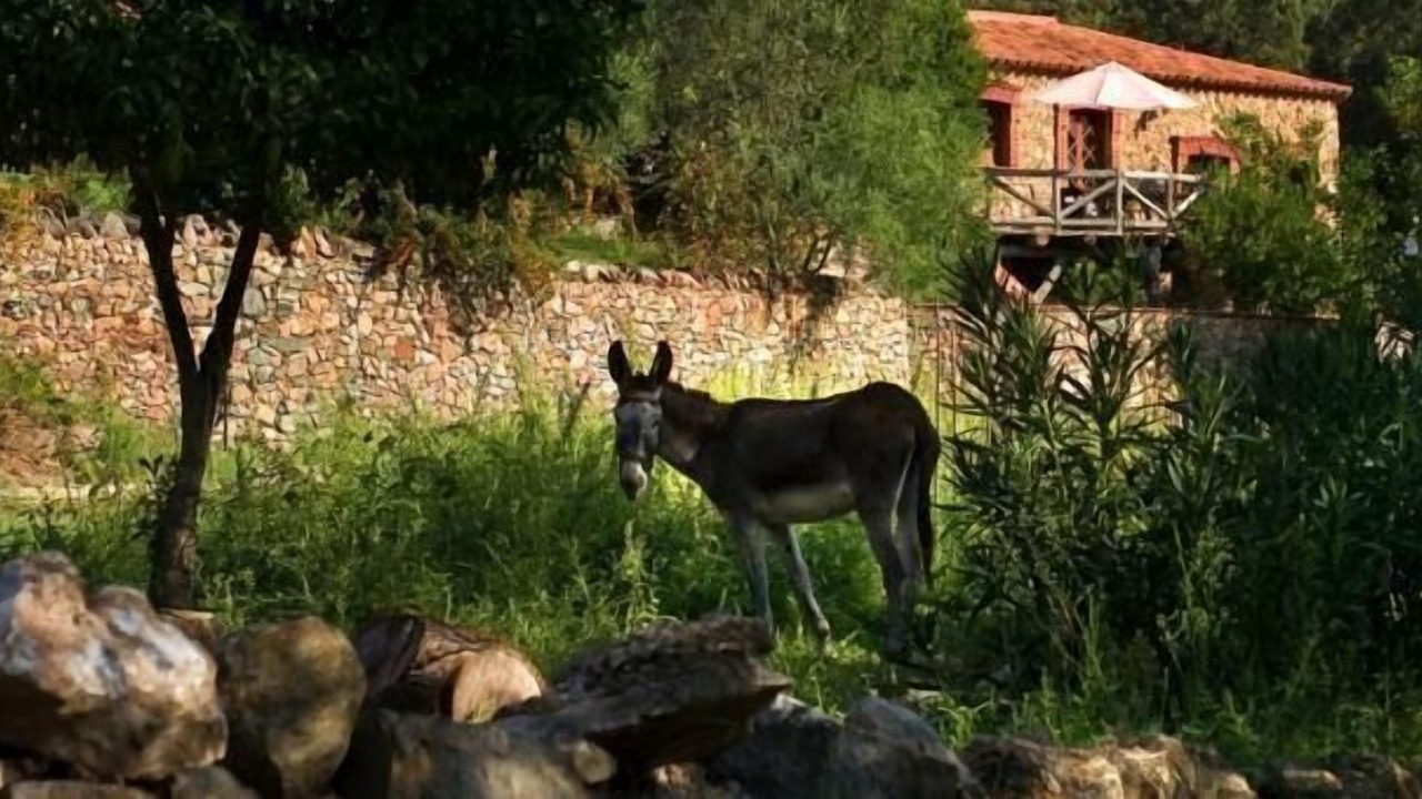 Photo of Outdoor in Alajar