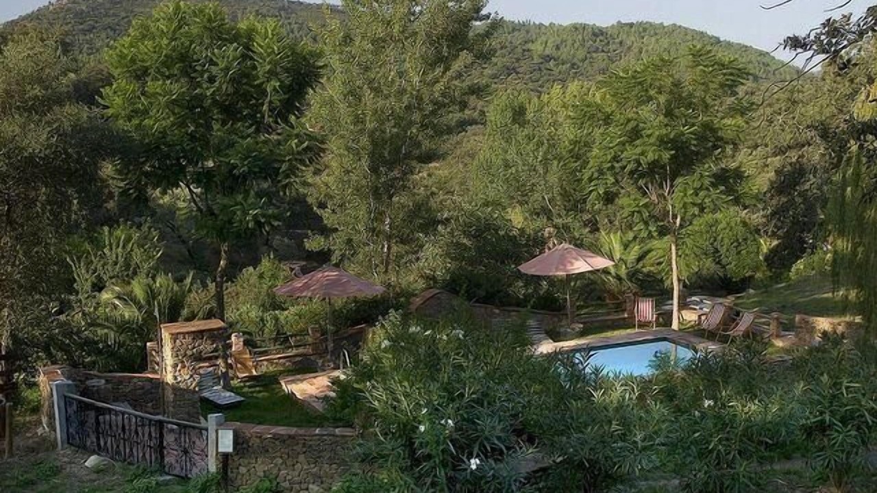 Photo of Outdoor in Alajar