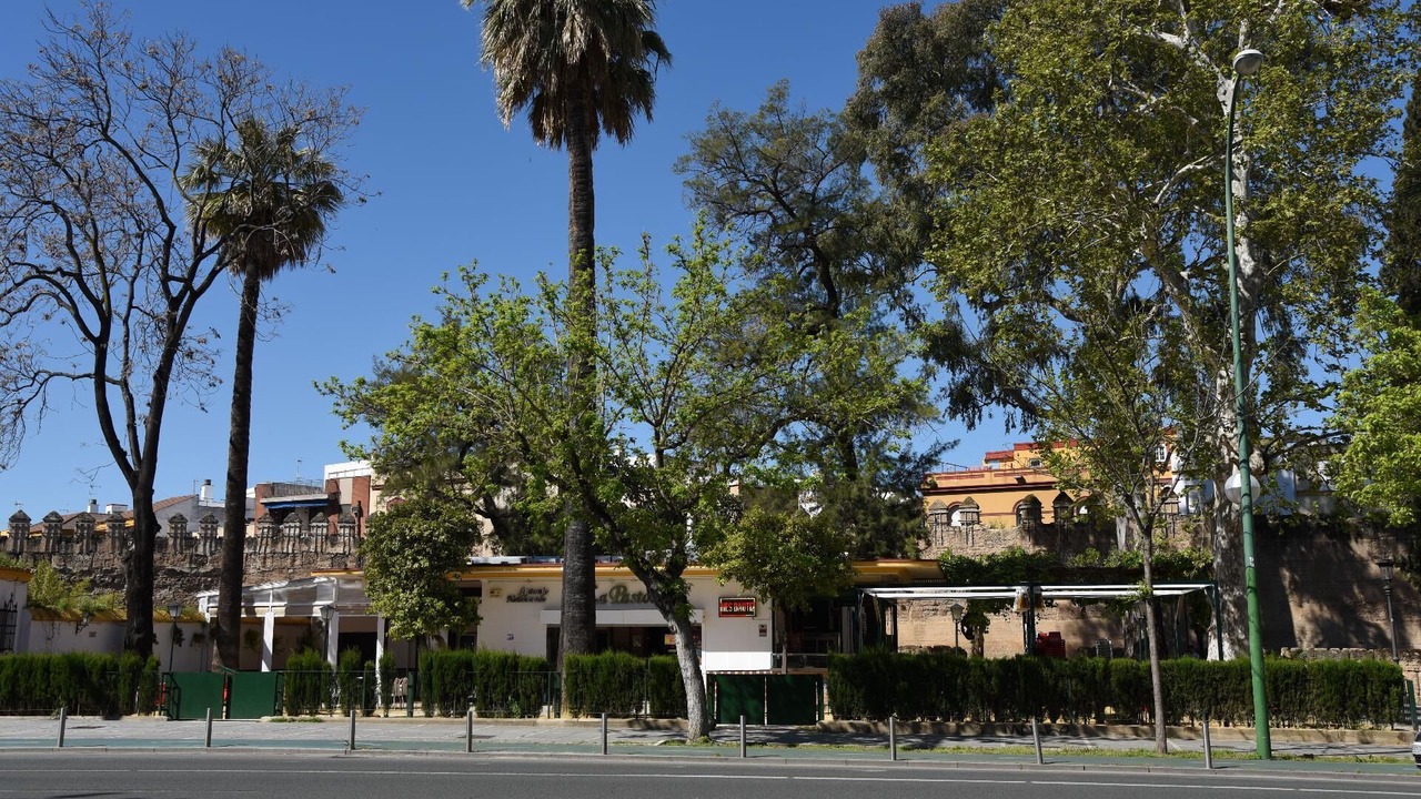 Photo of Outdoor in Cruz Roja-Capuchinos