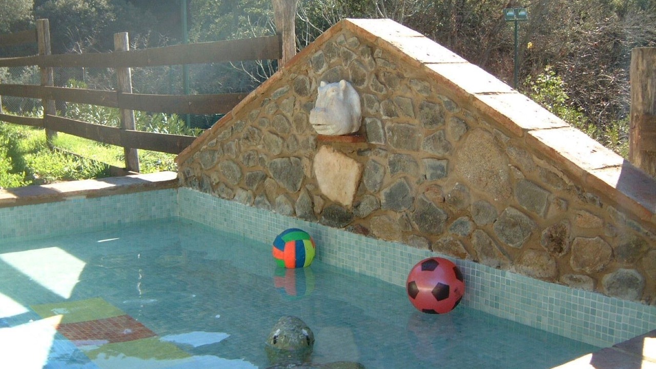 Photo of Outdoor in Alajar